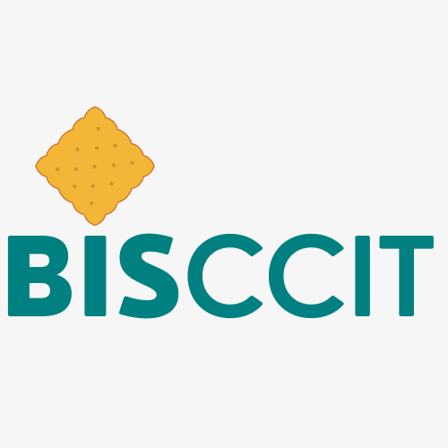 BISCITT Conflict Coach & Inspirational Training